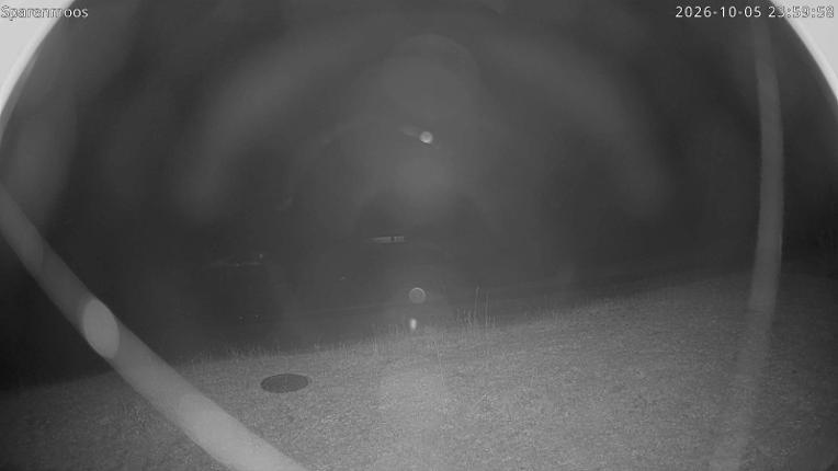 Webcam Gstaad: Sparenmoos