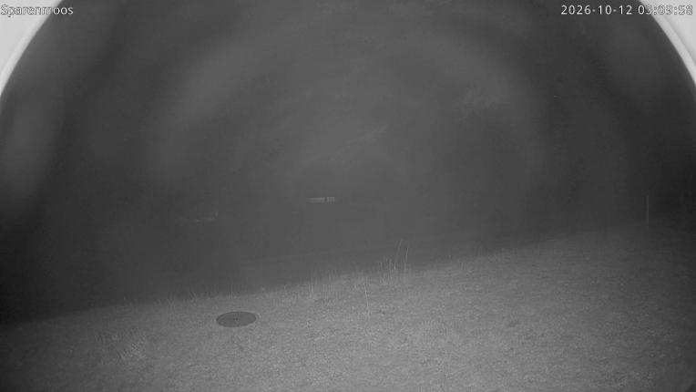 Webcam Gstaad: Sparenmoos