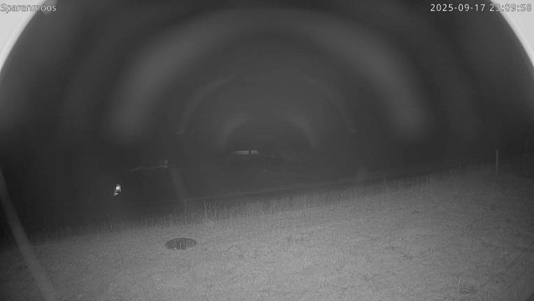 Webcam Gstaad: Sparenmoos