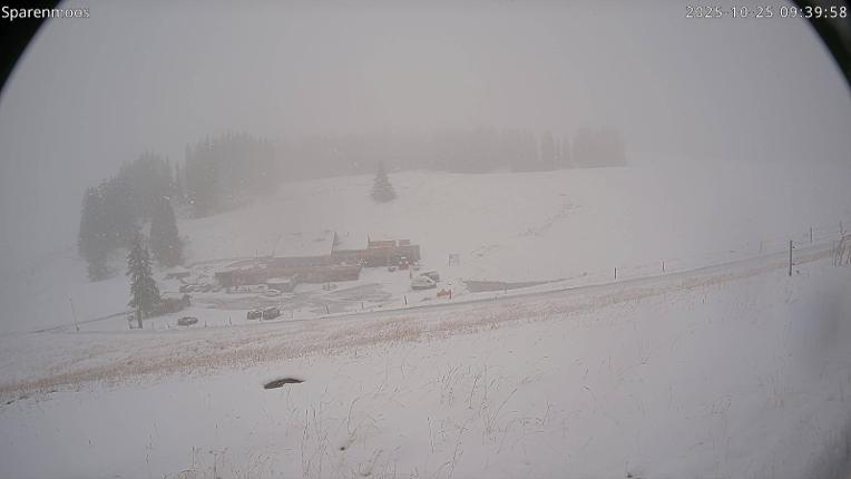 Webcam Gstaad: Sparenmoos