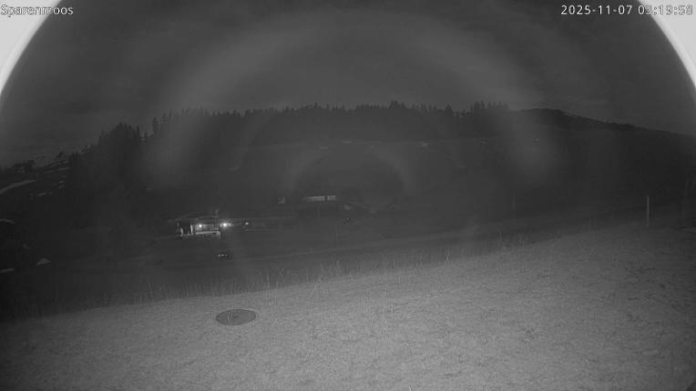 Webcam Gstaad: Sparenmoos