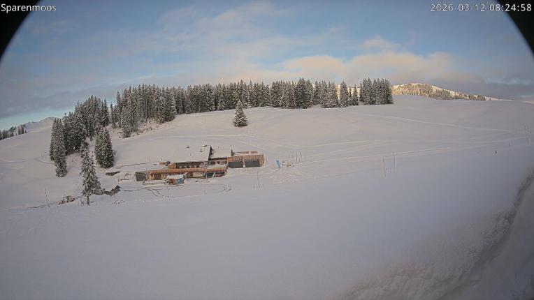 Webcam Gstaad: Sparenmoos