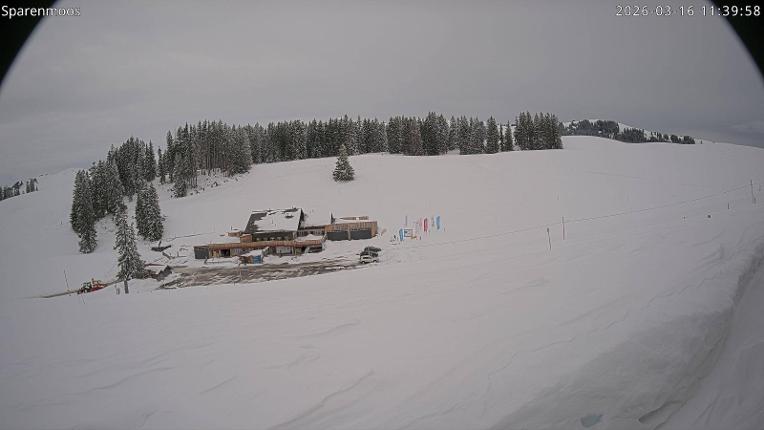 Webcam Gstaad: Sparenmoos