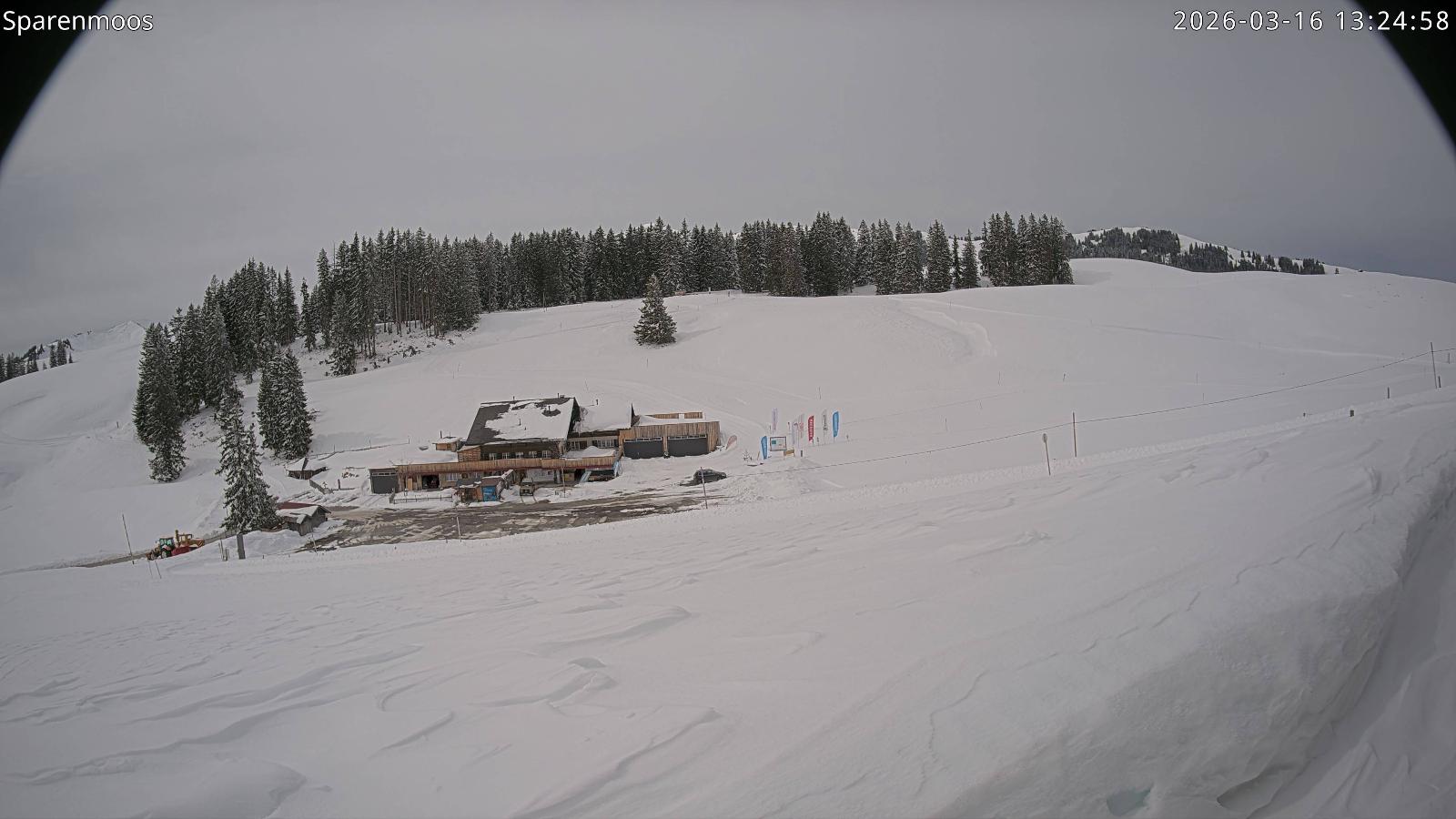 Webcam Gstaad: Sparenmoos