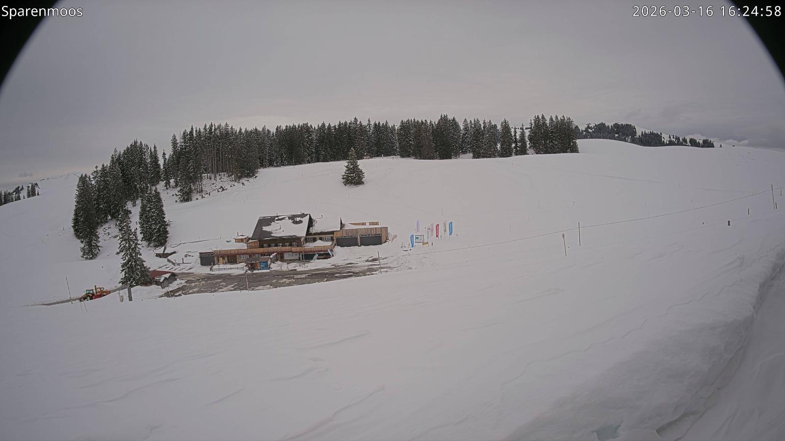 Webcam Gstaad: Sparenmoos