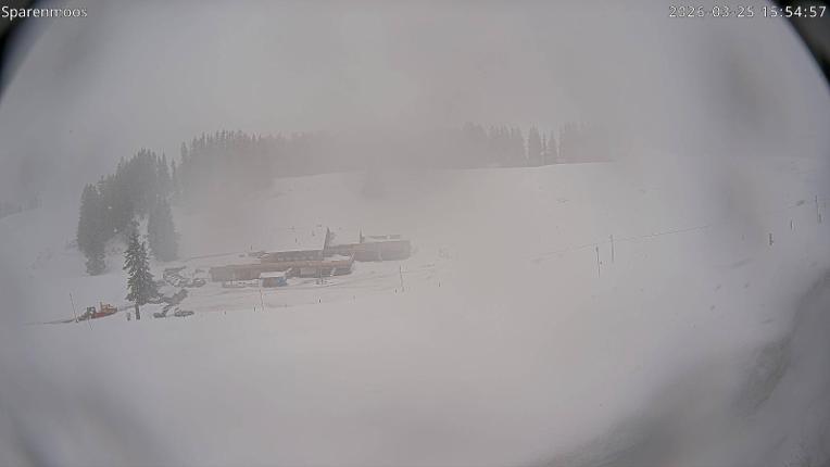 Webcam Gstaad: Sparenmoos