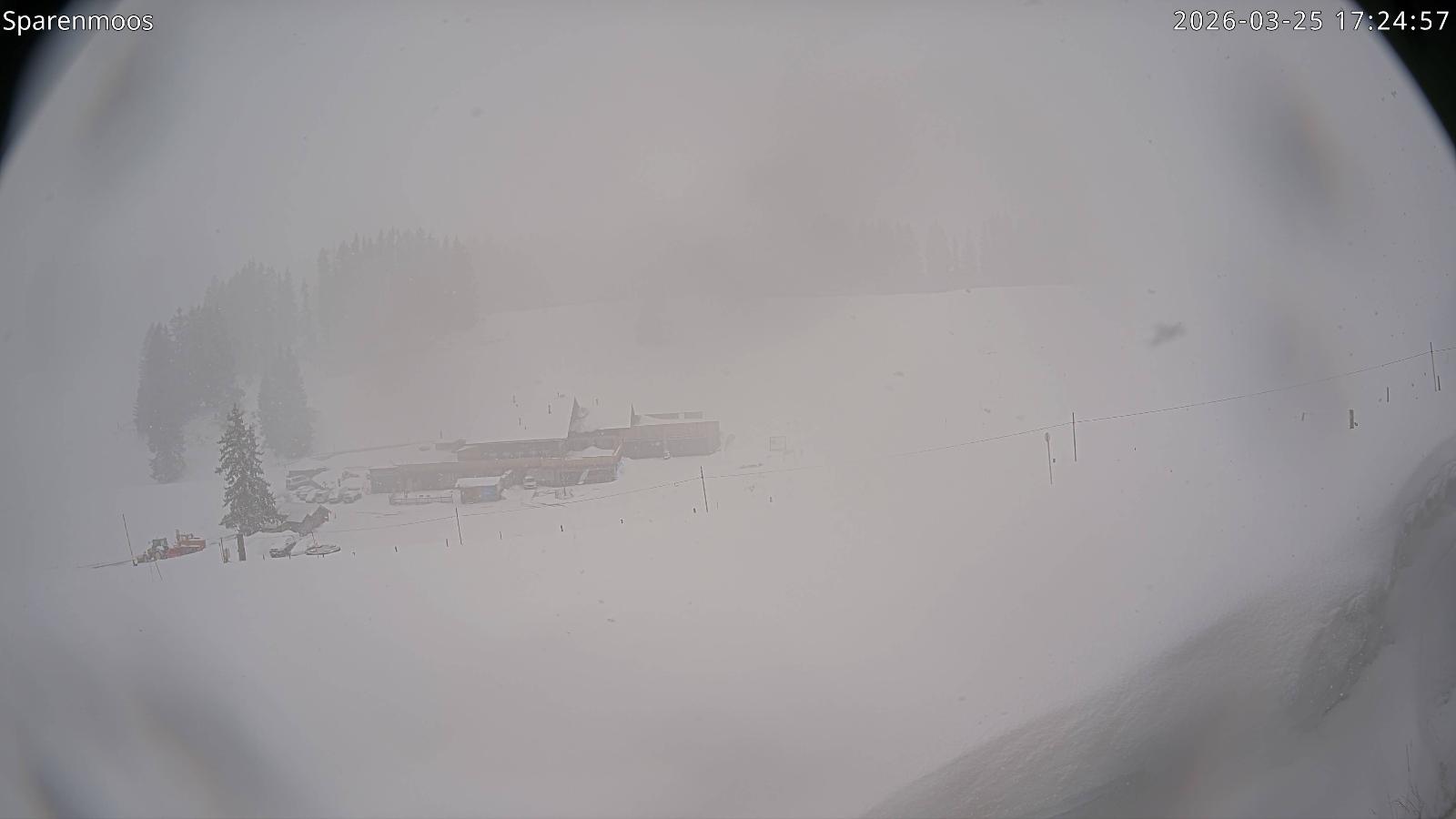 Webcam Gstaad: Sparenmoos