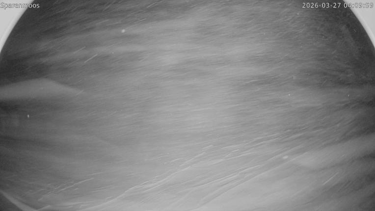 Webcam Gstaad: Sparenmoos