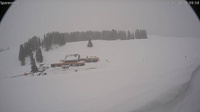 Webcam Gstaad: Sparenmoos