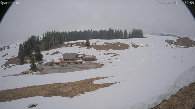 Webcam Gstaad: Sparenmoos