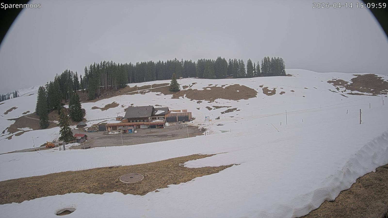 Webcam Gstaad: Sparenmoos