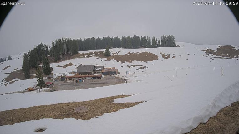 Webcam Gstaad: Sparenmoos