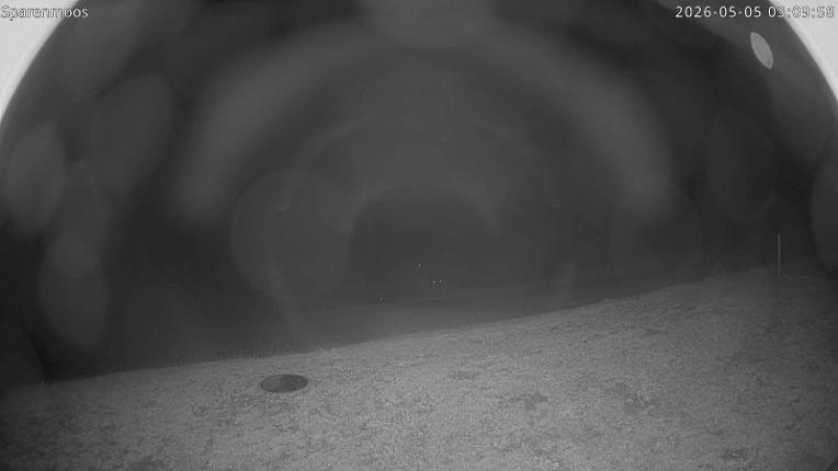 Webcam Gstaad: Sparenmoos