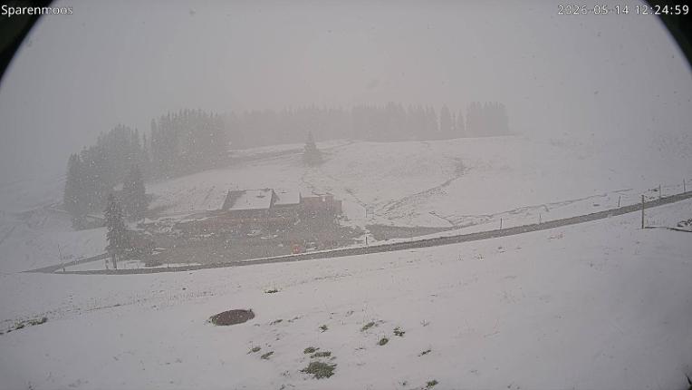Webcam Gstaad: Sparenmoos