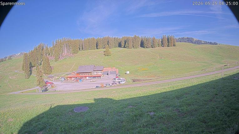 Webcam Gstaad: Sparenmoos