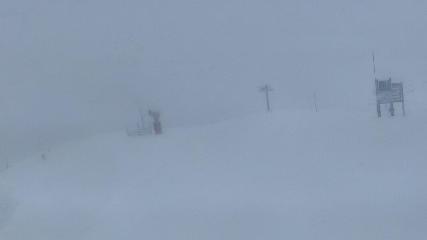 Guzet: Freychet (altiservice.com)