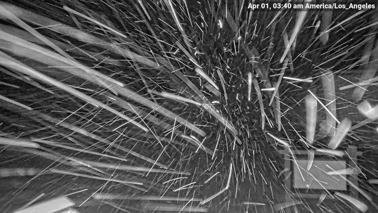 Webcam Heavenly: East peak lodge