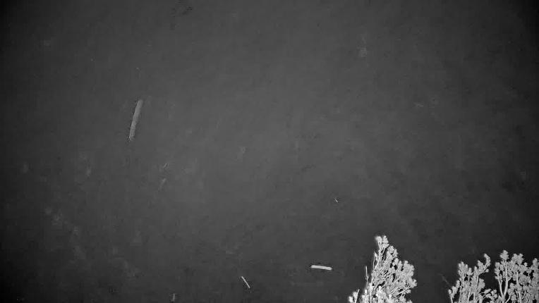 Webcam Heavenly: Midstation at the Gondola