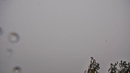 Heavenly: Midstation at the Gondola (skiheavenly.com)