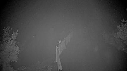 Heavenly: Midstation at the Gondola (skiheavenly.com)