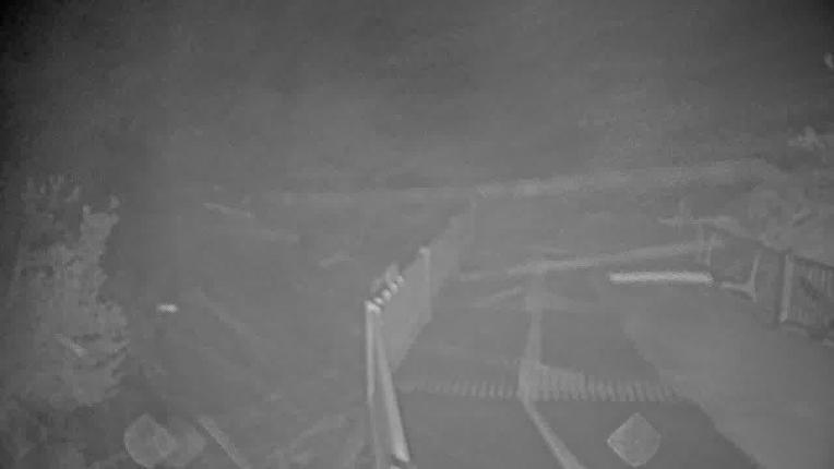 Webcam Heavenly: Midstation at the Gondola