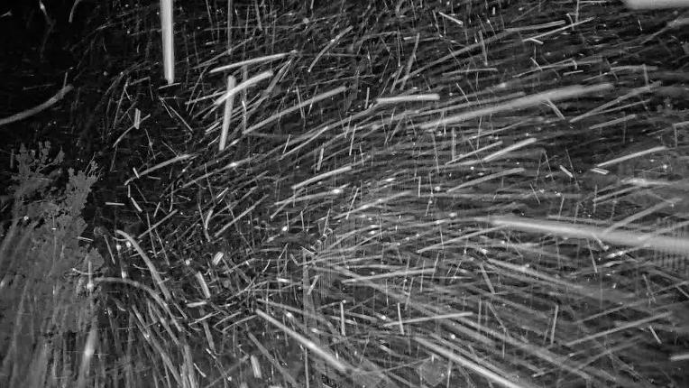 Webcam Heavenly: Midstation at the Gondola