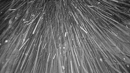 Heavenly: Midstation at the Gondola (skiheavenly.com)