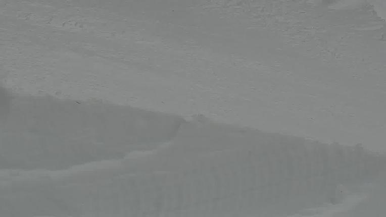 Webcam Heavenly: Snow stake