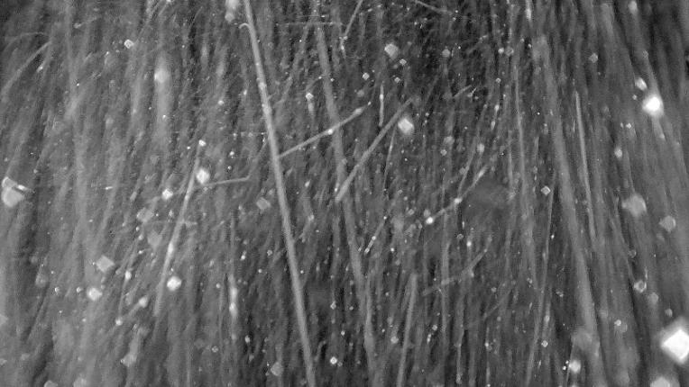 Webcam Heavenly: Top of dipper