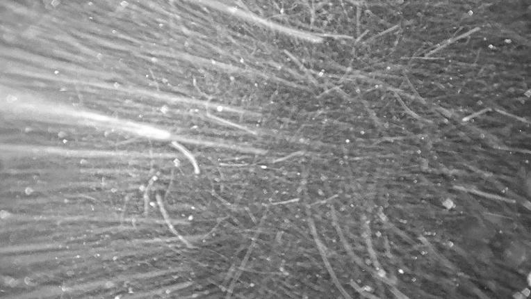 Webcam Heavenly: Top of dipper