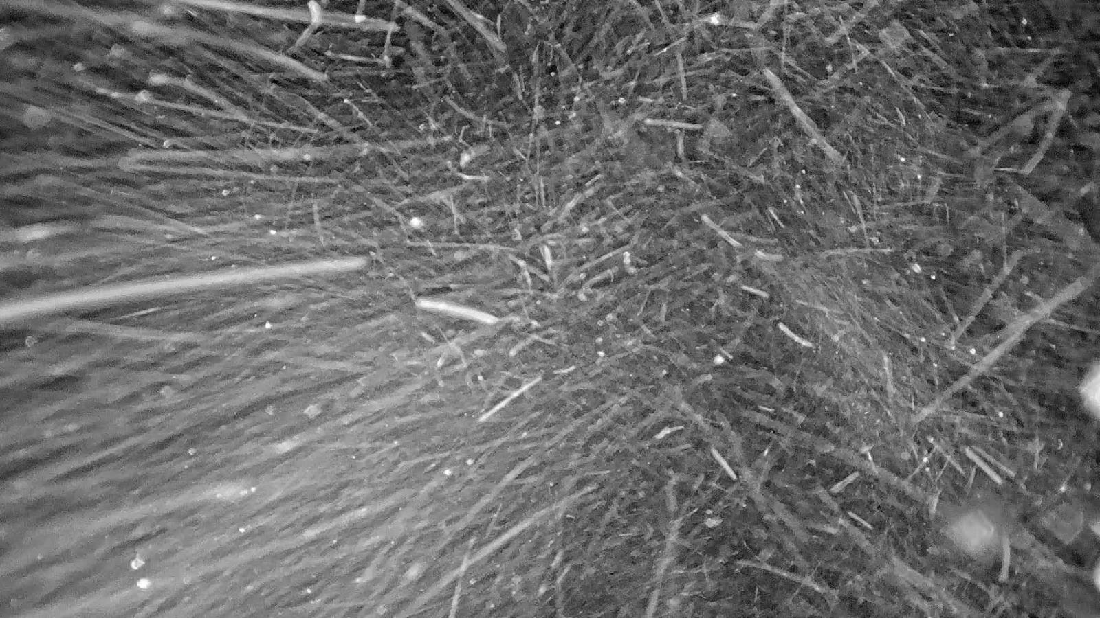 Webcam Heavenly: Top of dipper