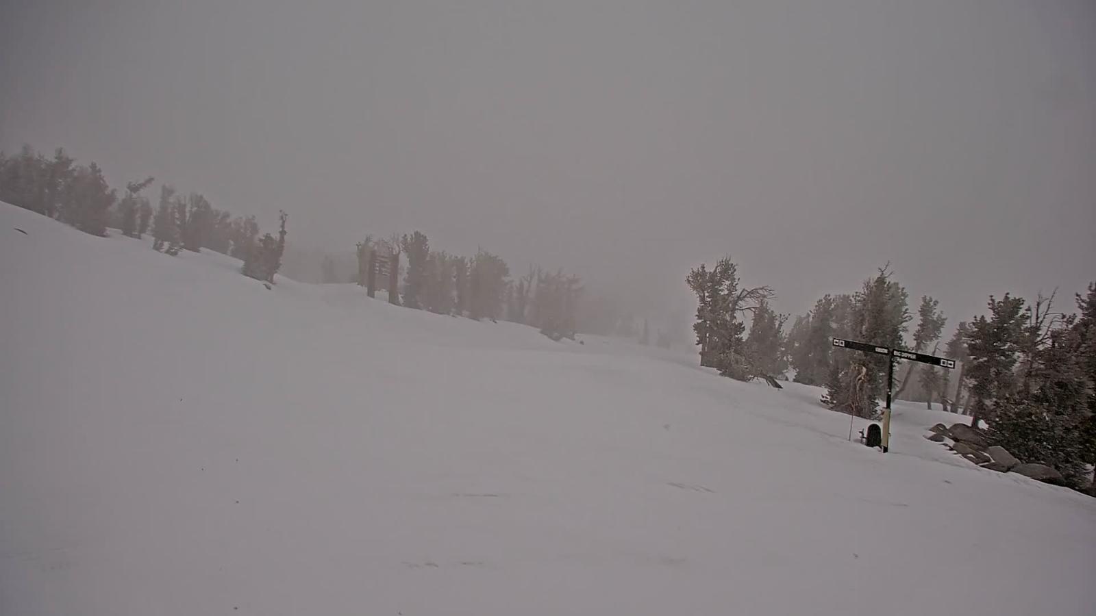 Webcam Heavenly: Top of dipper