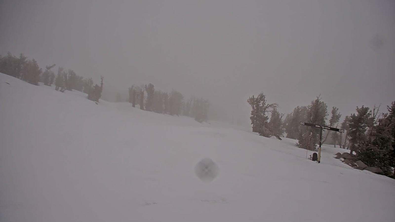 Webcam Heavenly: Top of dipper