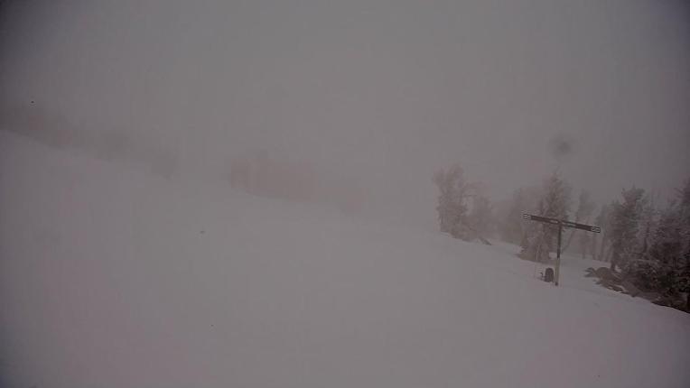 Webcam Heavenly: Top of dipper