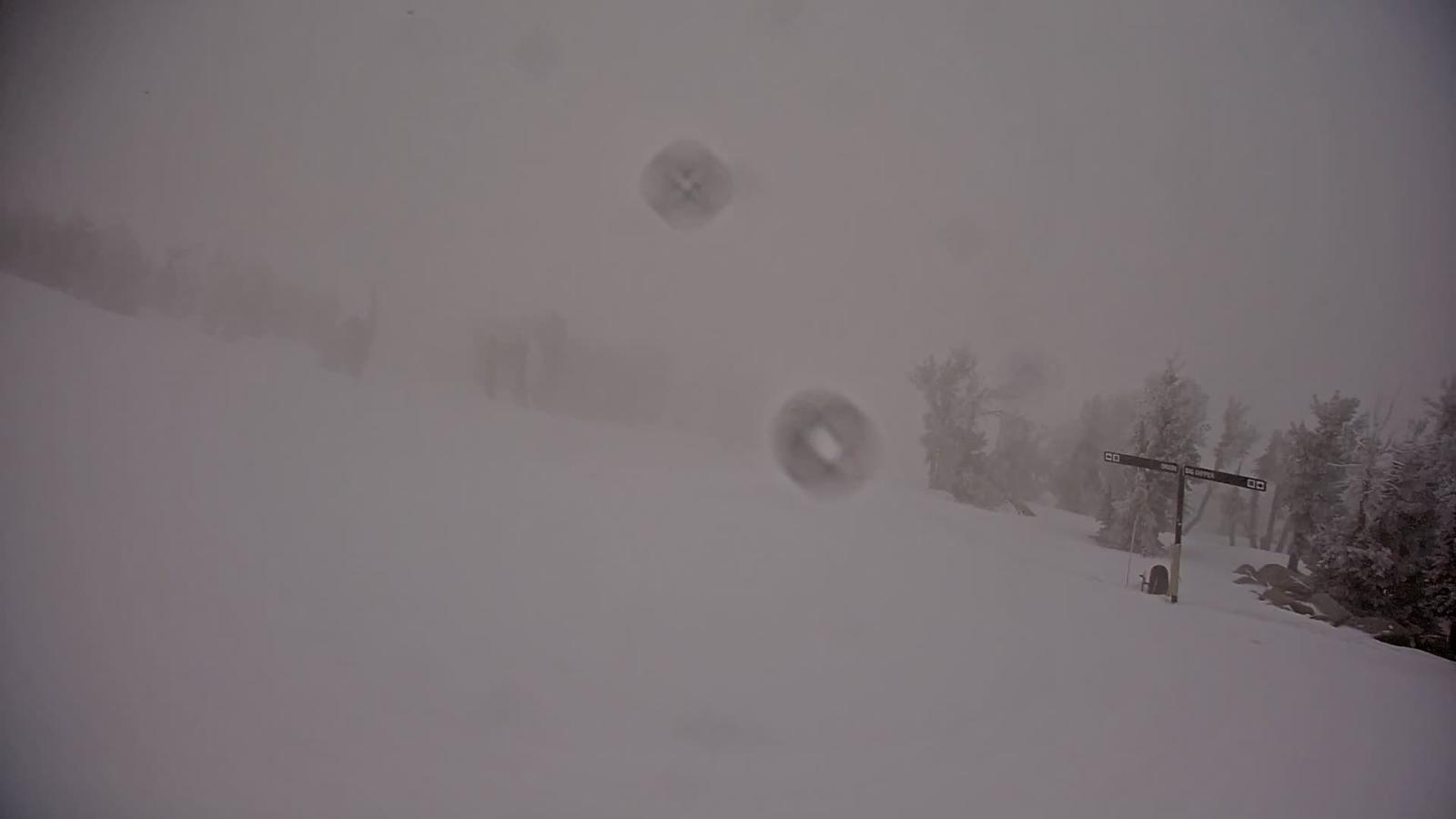 Webcam Heavenly: Top of dipper