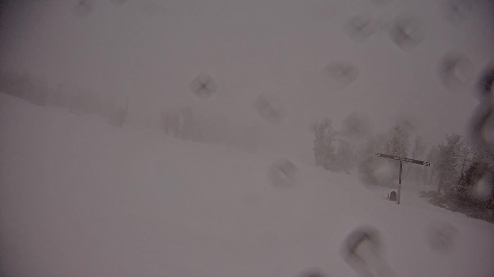 Webcam Heavenly: Top of dipper