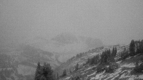 Webcam Jackson Hole: Cody bowl