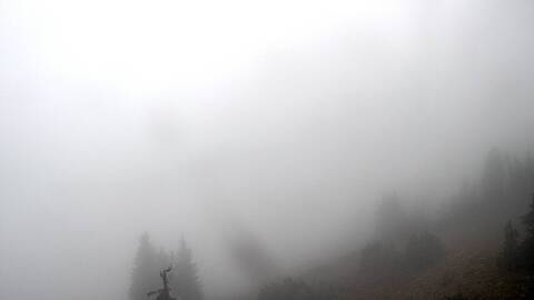 Webcam Jackson Hole: Cody bowl