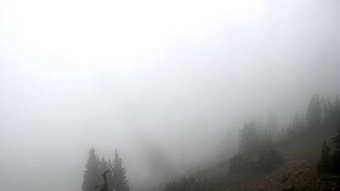 Webcam Jackson Hole: Cody bowl