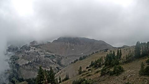 Webcam Jackson Hole: Cody bowl
