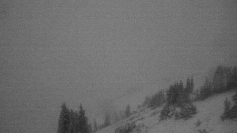 Webcam Jackson Hole: Cody bowl