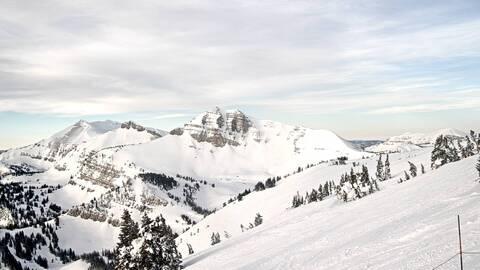 Webcam Jackson Hole: Cody bowl