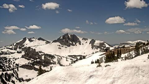 Webcam Jackson Hole: Cody bowl