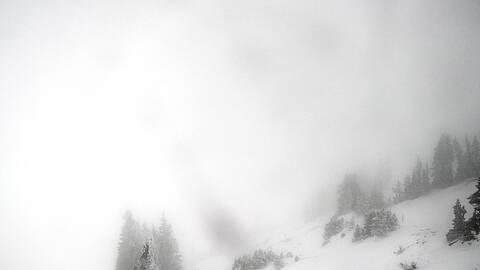 Webcam Jackson Hole: Cody bowl