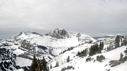 Webcam Jackson Hole: Cody bowl