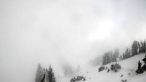 Webcam Jackson Hole: Cody bowl