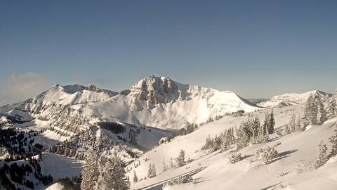 Webcam Jackson Hole: Cody bowl