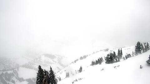 Webcam Jackson Hole: Cody bowl