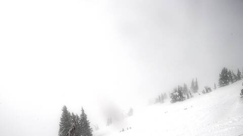 Webcam Jackson Hole: Cody bowl