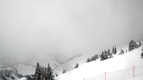 Webcam Jackson Hole: Cody bowl